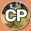 64534af35f5f3.webp