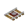local (5).webp