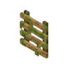 local (2).webp