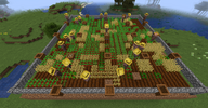 smarterfarmers-fields.png