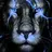 Artem_Leon
