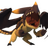 PaltoSerguy