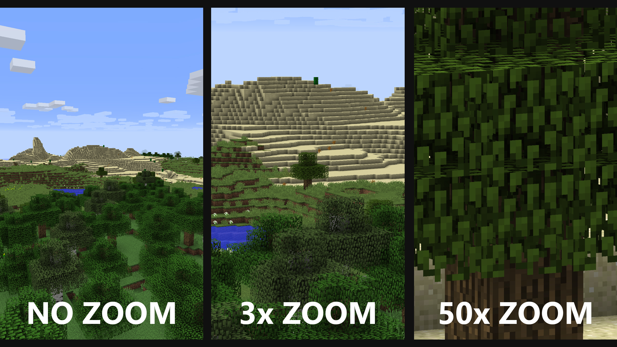 bulk-0255-01-62f656f89de4.jpeg