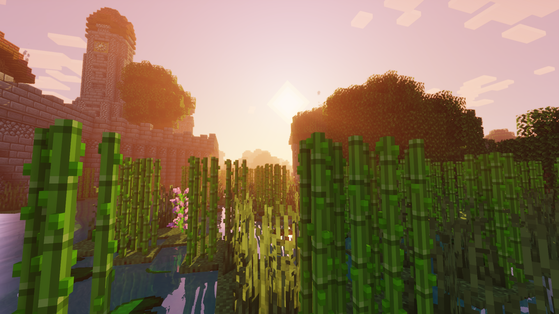 bulk-0752-01-6eead911f919.png