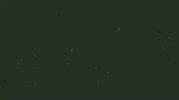 fast4d-0608-02-c603abee4d41.webp
