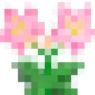 Many Flowers
