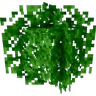 Motschen's Better Leaves
