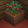 Botany Pots