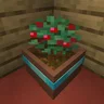 Botany Pots Tiers