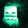 Authentic Night Vision