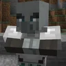 Illagers Wear Armor