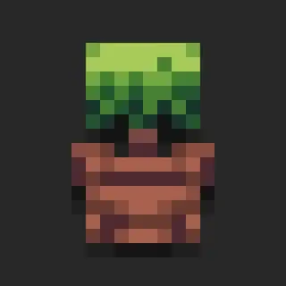 Botanical Pots